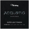 VESTON F-38/BK dPACK 1 - акустическая гитара в комплекте