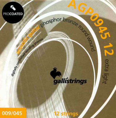 Комплект струн для 12ти стр акустической гитары 9-45 GALLI STRINGS AGP0945-12