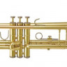 Труба Bach TR-305BP Bb